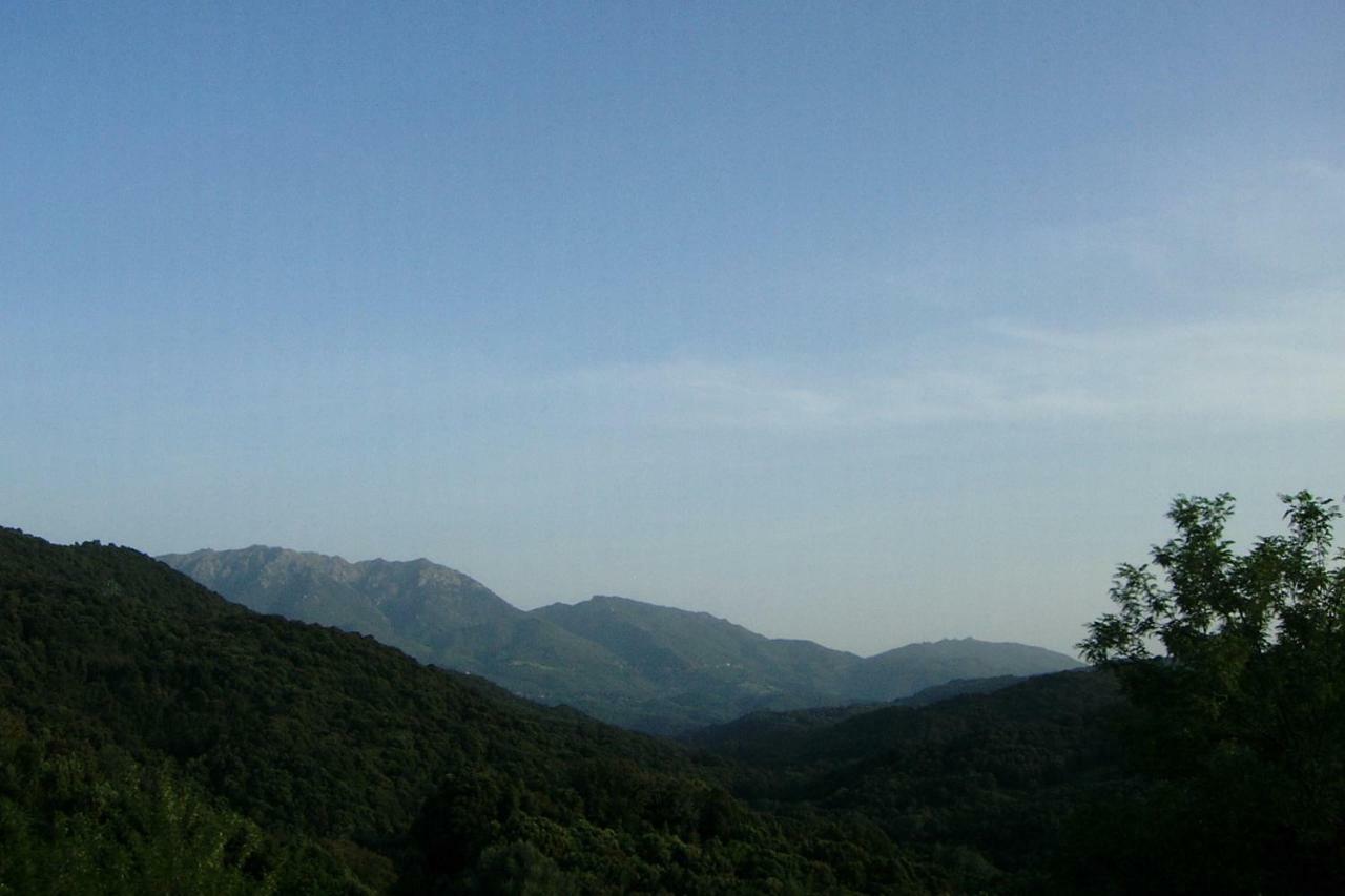 A Pivarella Grosseto-Prugna 外观 照片